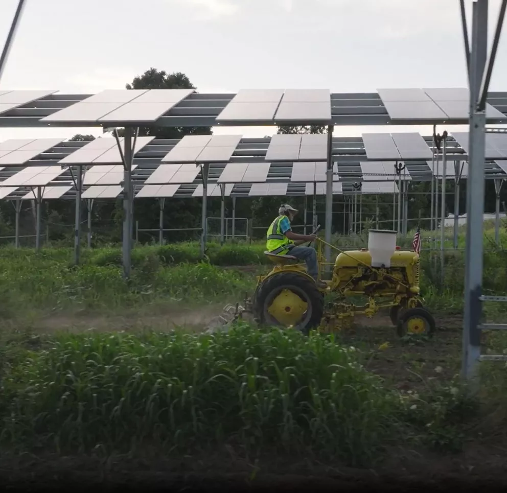 A person on a yellow tractor is working in a field beneath rows of solar panels. The panels are mounted on metal structures. The field is lush with green vegetation, and the sky is overcast.