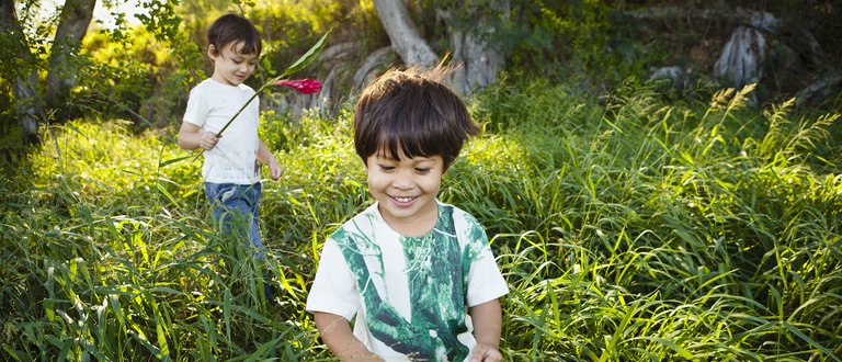 Boys playing in tall grass