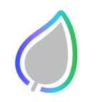An outline of a leaf with a gradient border transitioning from purple to blue to green, on a transparent background.