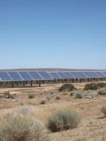 A large field of solar panels arranged in rows in a dry, grassy landscape under a clear blue sky. Sparse shrubs and bushes are scattered in the foreground.