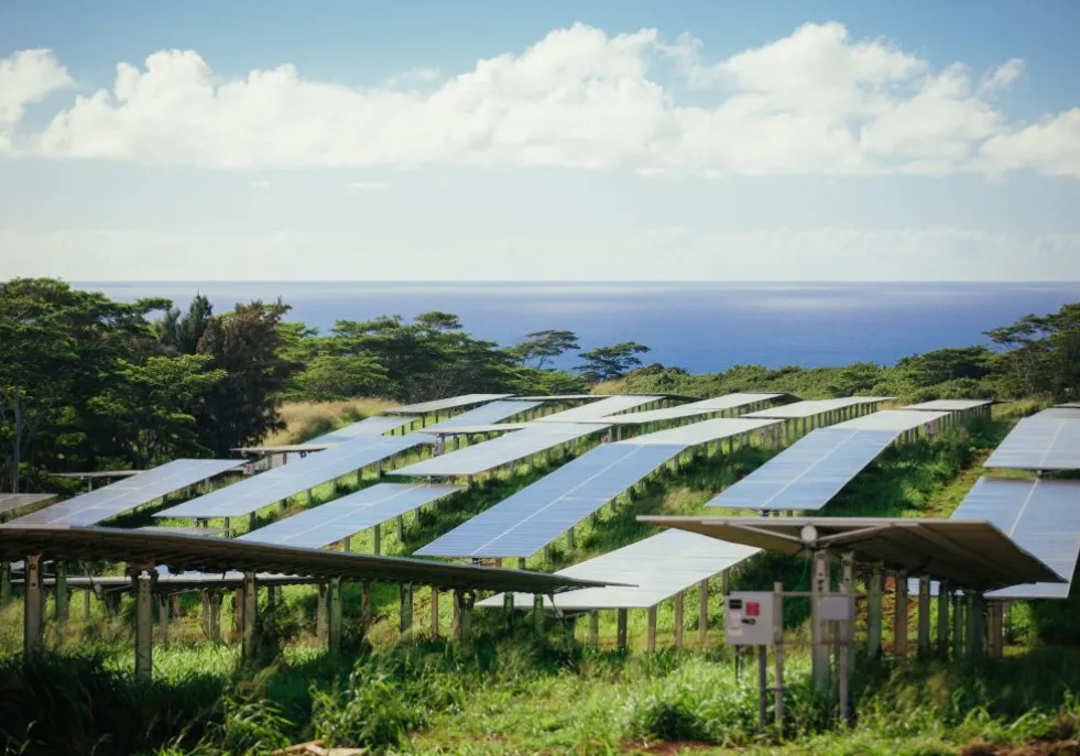 A solar farm with multiple rows of solar panels set on a grassy field. The panels are aligned in parallel rows, elevated on metal supports. In the background, there are lush green trees and beyond them, a view of the ocean under a partly cloudy sky.
