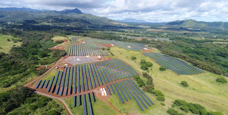 Lawai Project Complete (1)