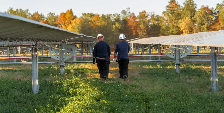 Two people wearing helmets and gloves walk between rows of solar panels in a field, with autumn trees in the background.