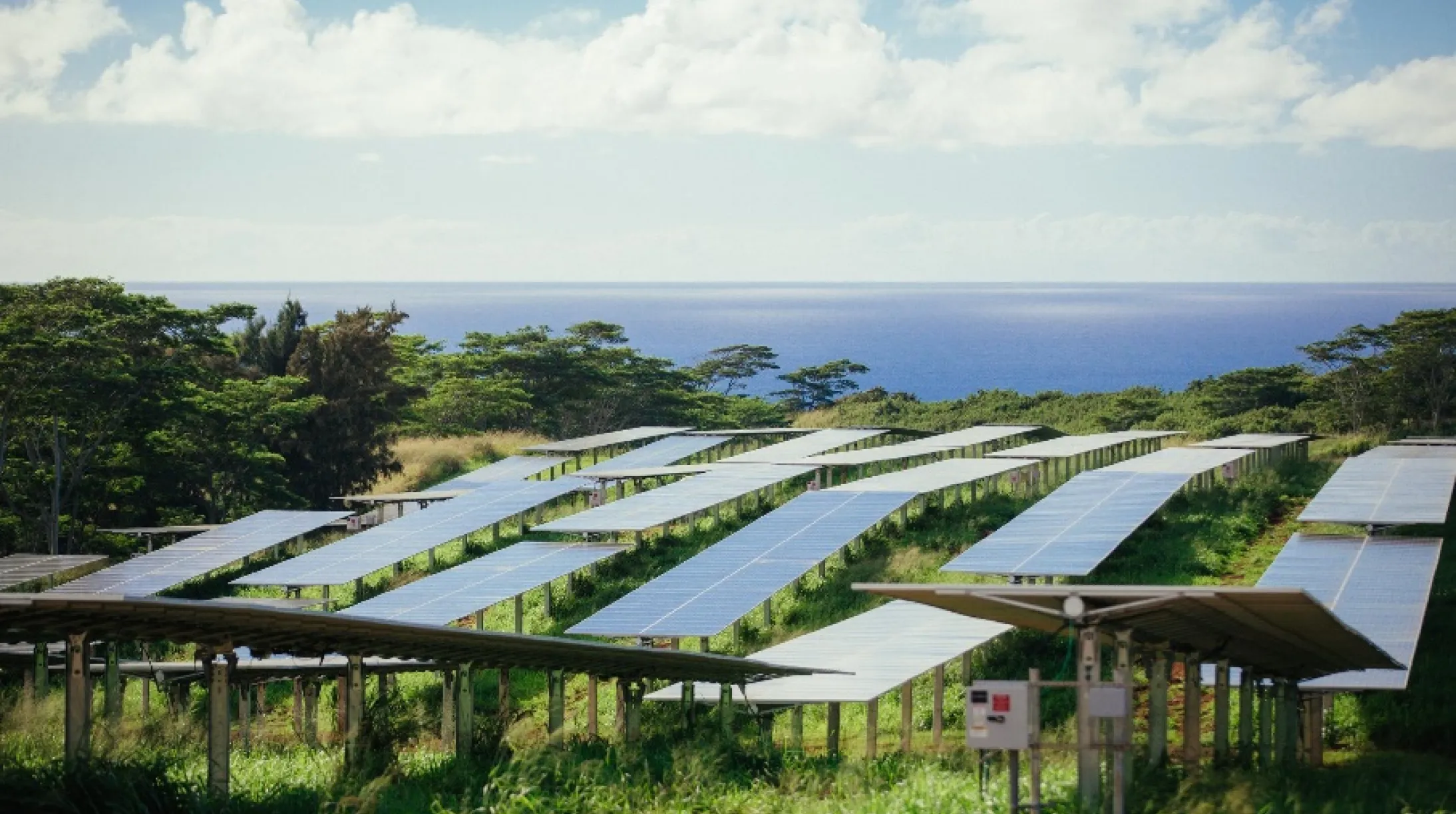 A solar farm with rows of solar panels on a grassy field, surrounded by trees. The ocean is visible in the background under a partly cloudy sky.
