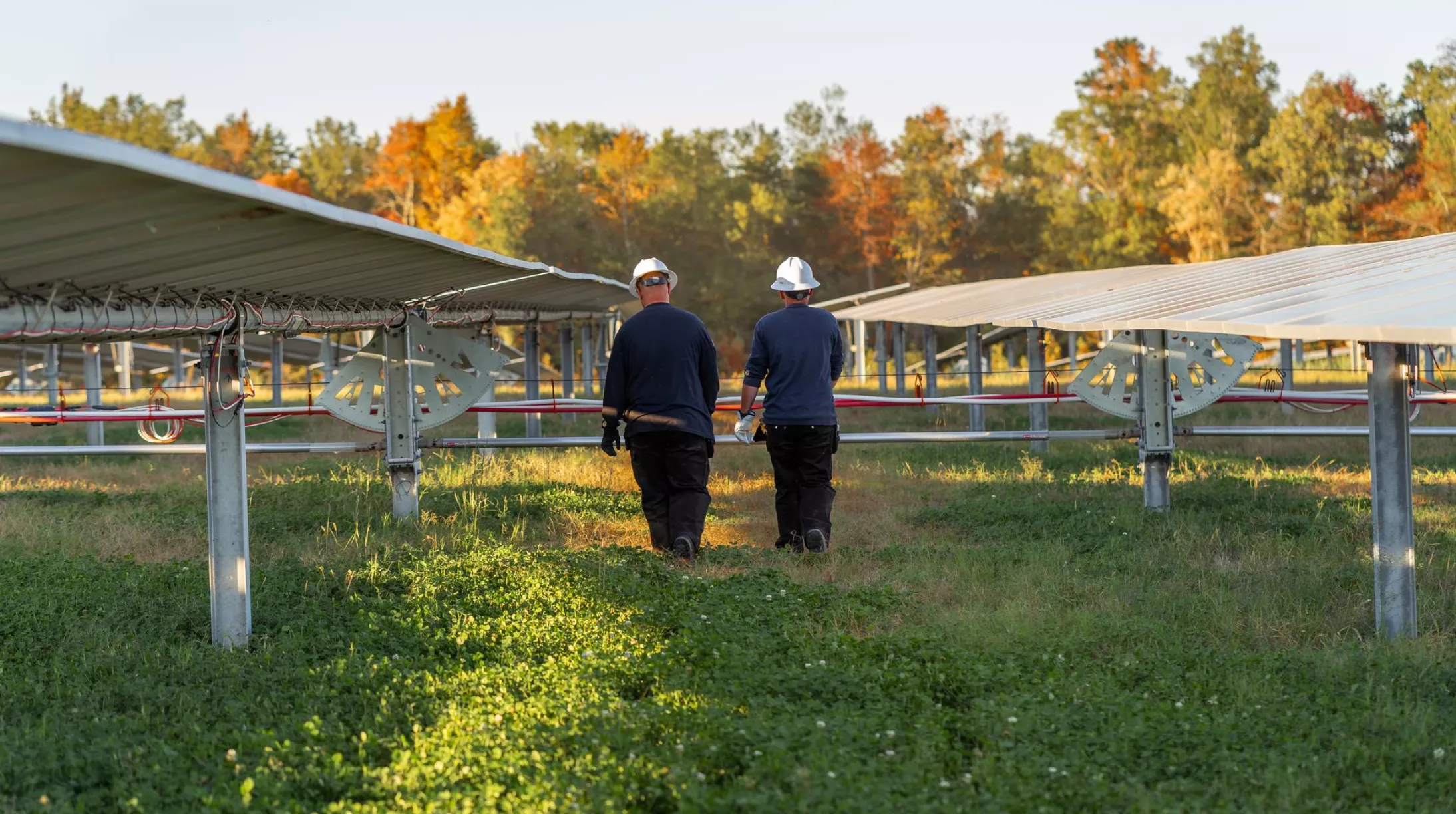 Two workers wearing hard hats walk between rows of solar panels in a field with green grass. The background features trees with autumn foliage in shades of orange and yellow under a clear sky.