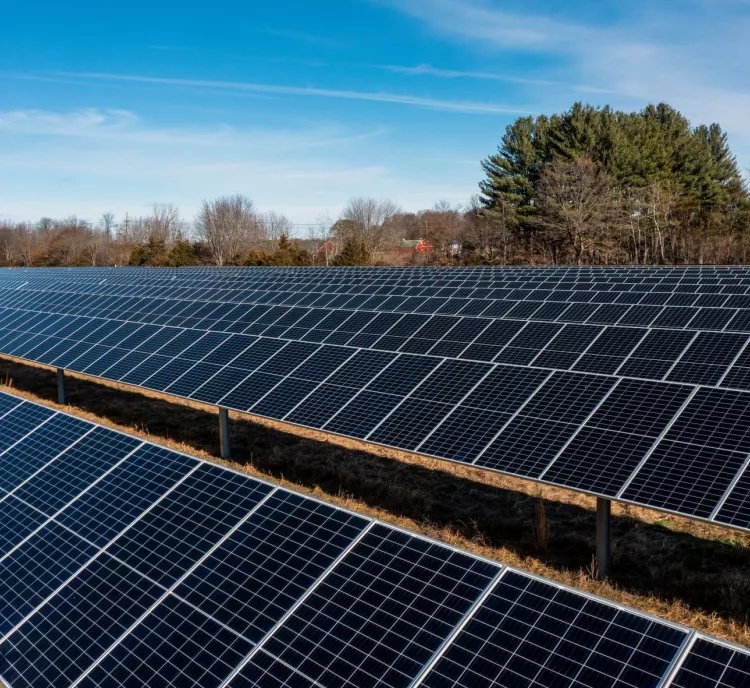 A large solar farm with rows of solar panels under a clear blue sky. The panels are positioned on a grassy field, with trees in the background.