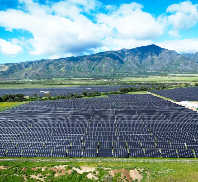 A vast solar farm with rows of solar panels stretches across a green landscape, with a backdrop of mountains under a partly cloudy blue sky.