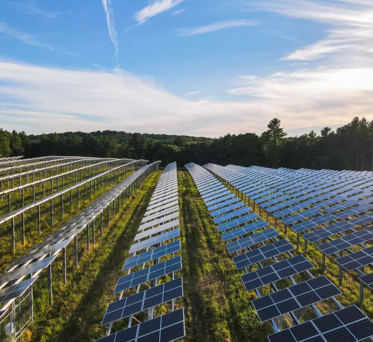 Aerial view of a solar farm with rows of solar panels stretching into the distance, surrounded by trees under a clear blue sky.