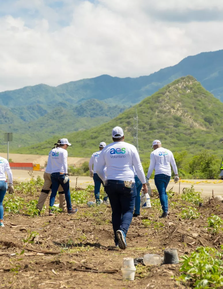 A group of volunteers wearing white shirts with 'AES Voluntario' printed on them are working in a field with mountains in the background. They are planting or tending to small plants, while a person in a neon vest and red cap stands nearby. The sky is partly cloudy.