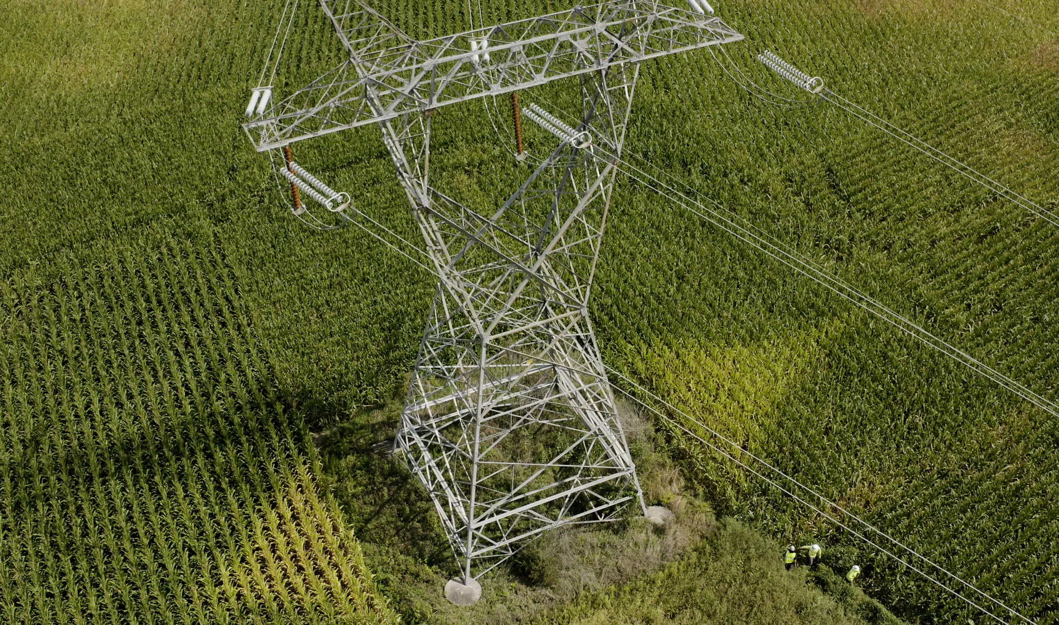 Aerial view of a metal electricity pylon standing in the middle of a green cornfield. Two workers in high-visibility clothing are inspecting the area near the base of the pylon.