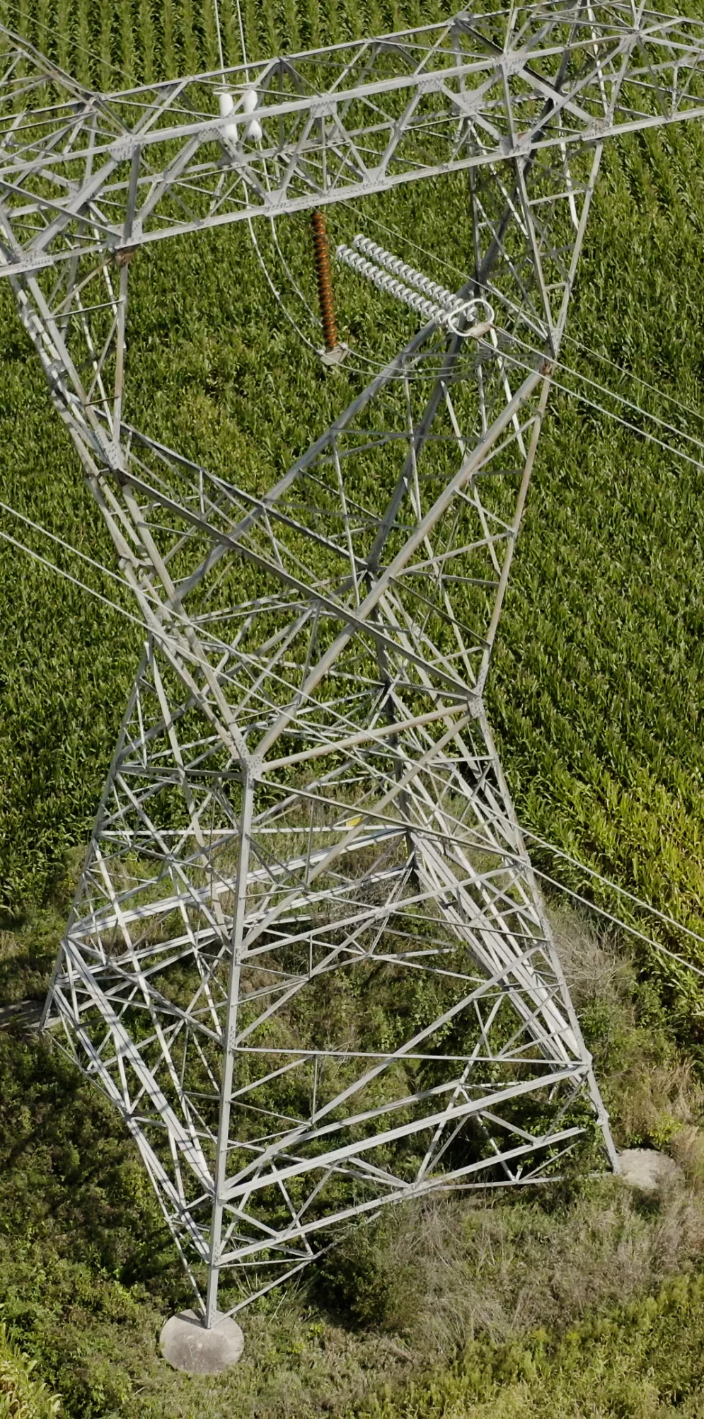 Aerial view of a metal electricity pylon standing in the middle of a green cornfield. Two workers in high-visibility clothing are inspecting the area near the base of the pylon.