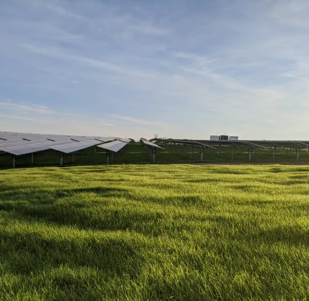A field of solar panels stands on a lush green grass landscape under a clear blue sky. The panels are aligned in rows, capturing sunlight. In the distance, there are small buildings or structures visible.