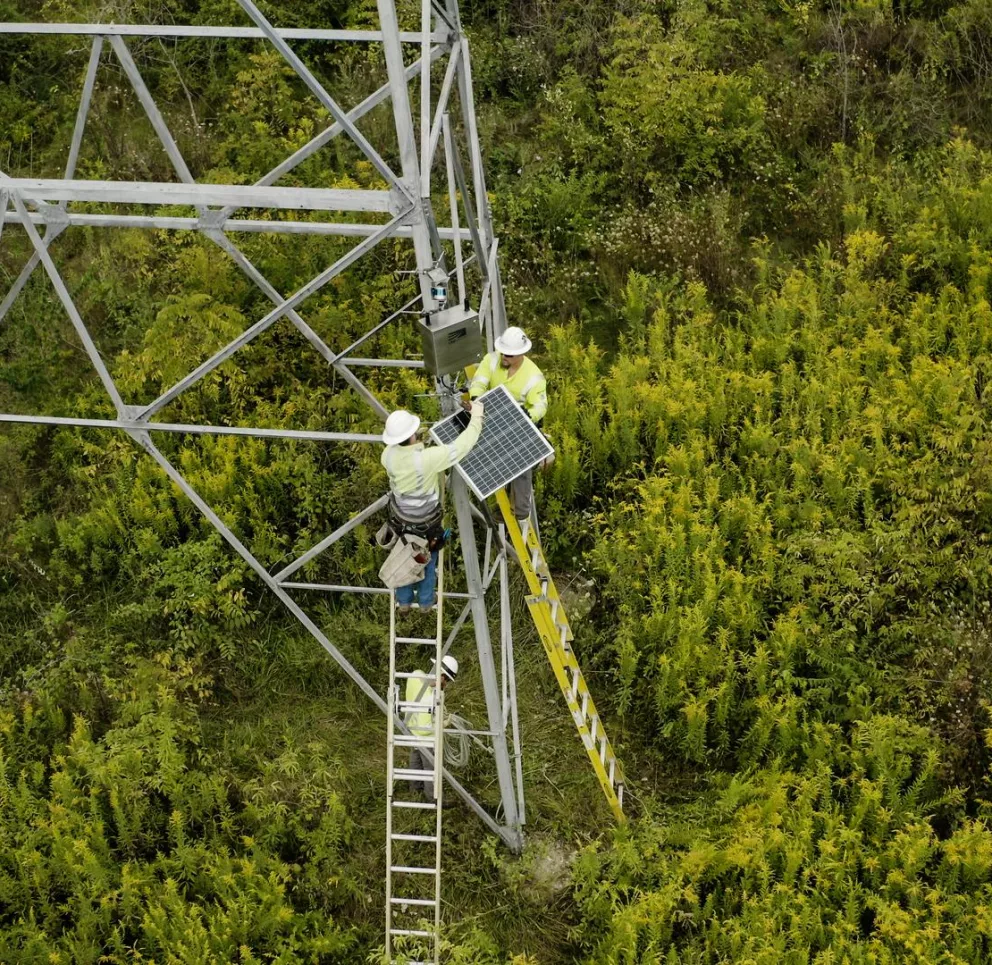 Three workers in safety gear install a solar panel on a metal tower surrounded by dense greenery. Two workers are on ladders, while the third is on the ground, assisting with the installation.