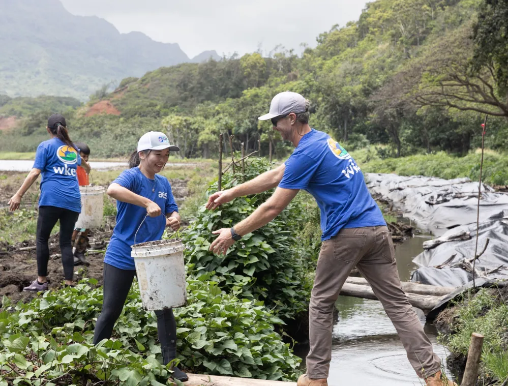 A group of people wearing blue shirts and hats are working outdoors in a lush, green area with mountains in the background. One person hands a bucket to another across a small stream, while others carry buckets nearby.