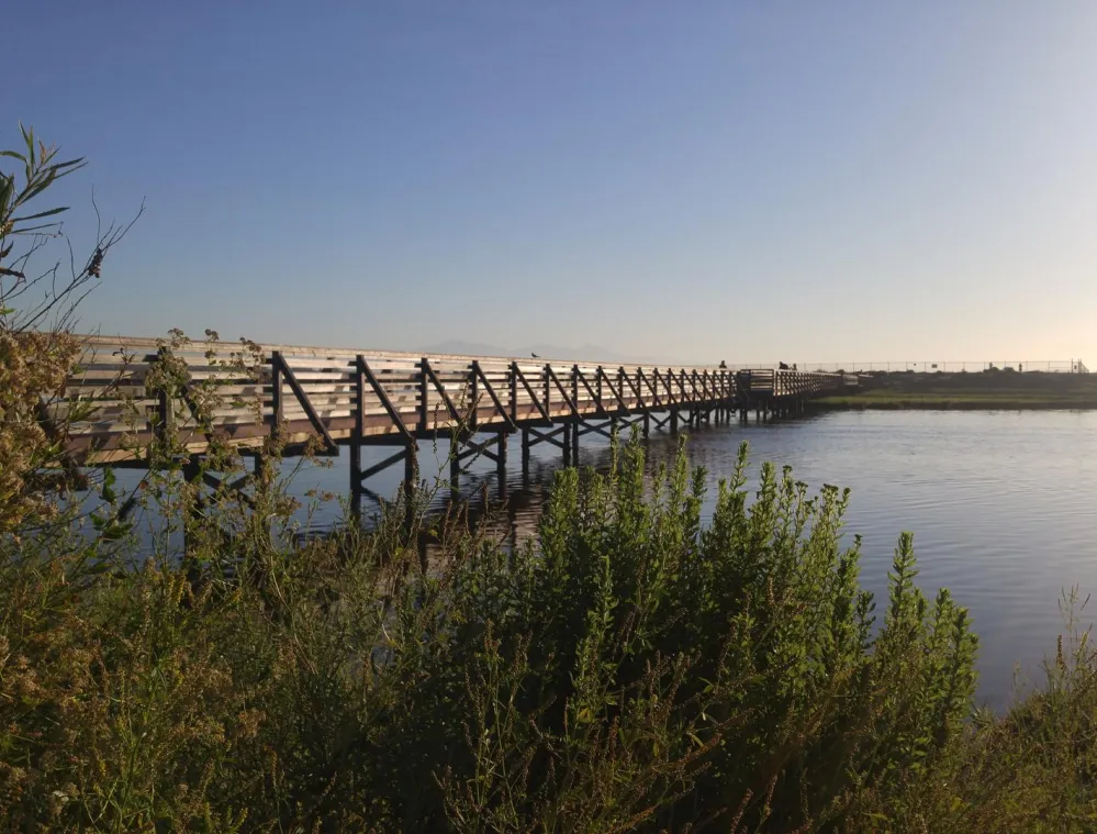 A wooden footbridge extends over a calm body of water, surrounded by lush greenery. The sky is clear and bright, with the sun casting a warm glow over the scene.