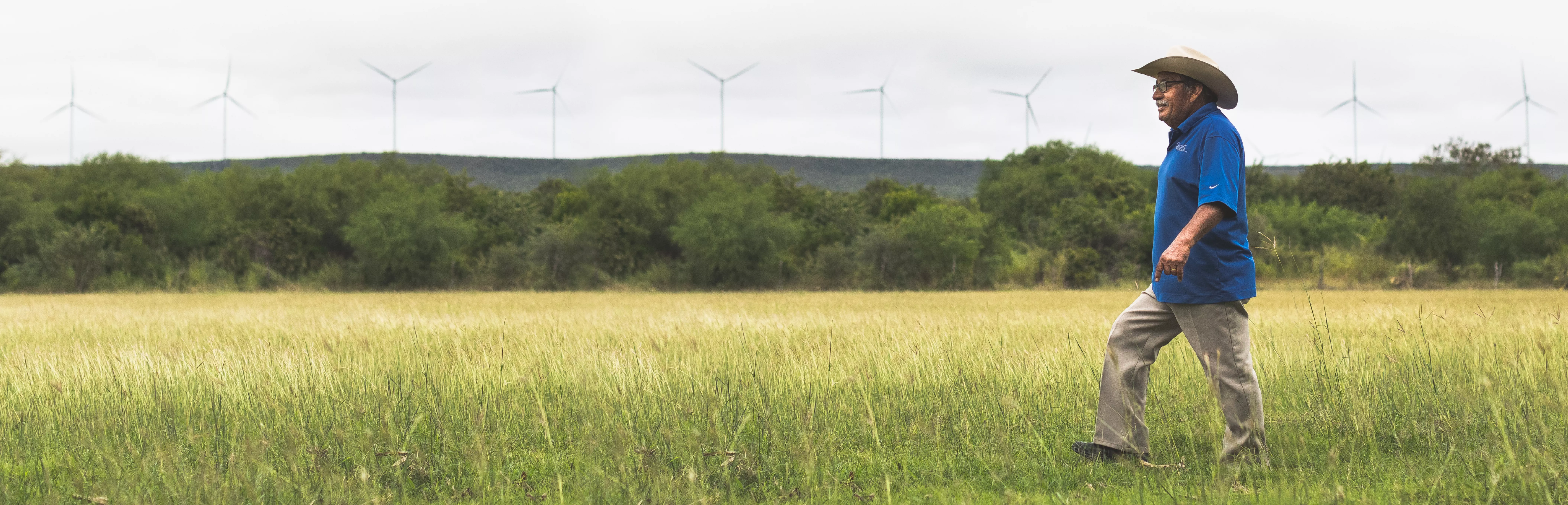 A man wearing a blue shirt and hat walks through a grassy field. In the background, several wind turbines are visible against a cloudy sky, with a line of trees separating the field from the turbines.