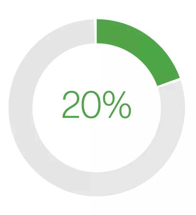 A circular progress chart showing 20% completion with a green segment and the number 20% in the center.
