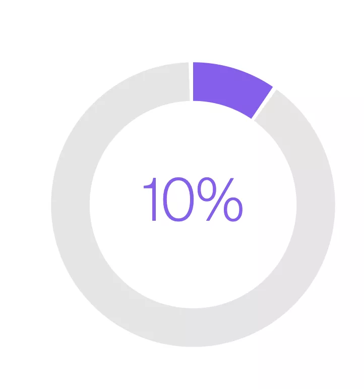 A circular progress chart showing 10% completion with a purple segment representing the completed portion.