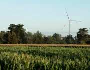 A wind turbine stands tall in the background of a lush green cornfield. The sky is clear, and trees line the horizon, creating a serene rural landscape.