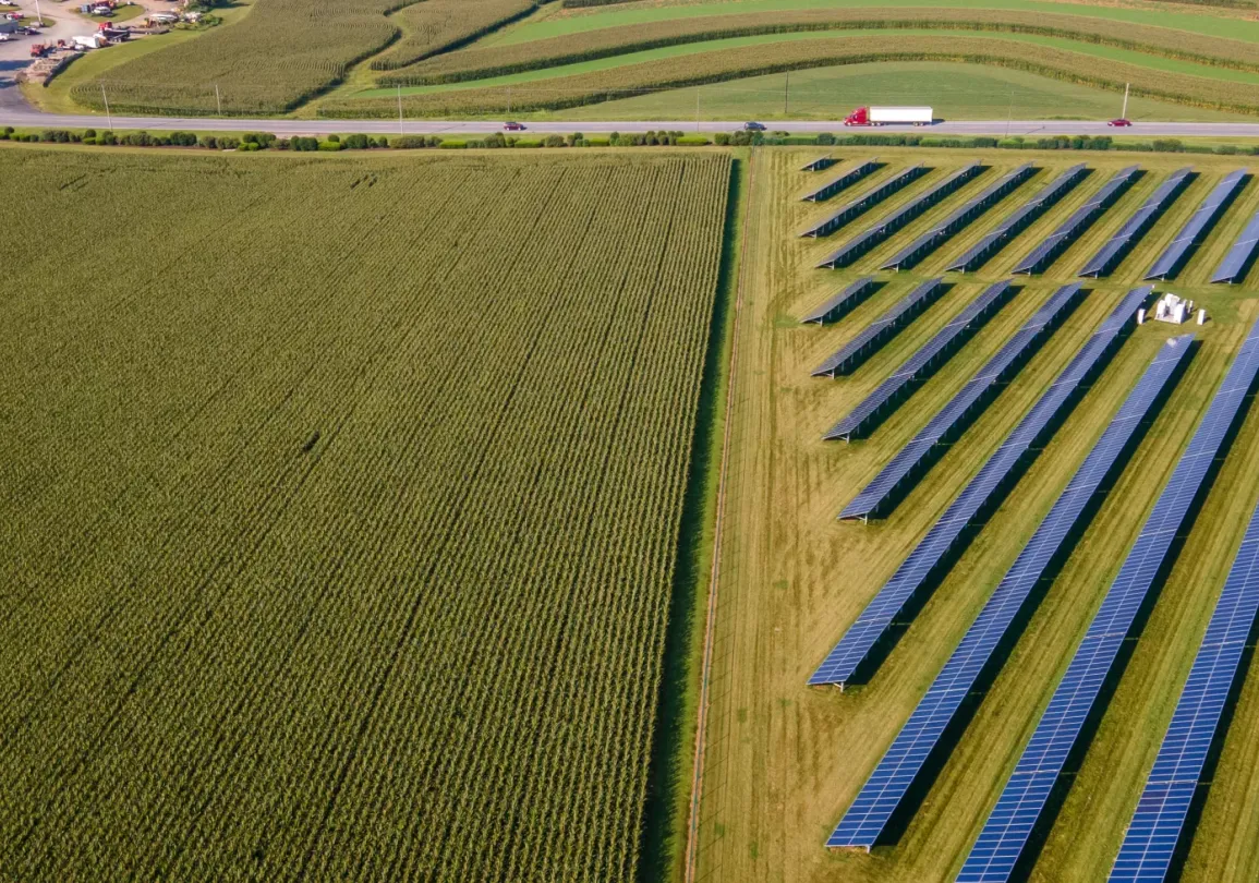 Aerial view of a large solar panel farm adjacent to a cornfield, with a road and vehicles in the background.